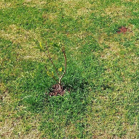 Zimmer Im Landhaus Mit Garten דירה *